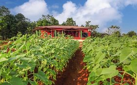 Aarya Farm